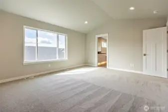 Primary suite with vaulted ceiling