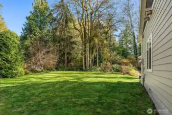 Flat spacious yard, on half an acre.