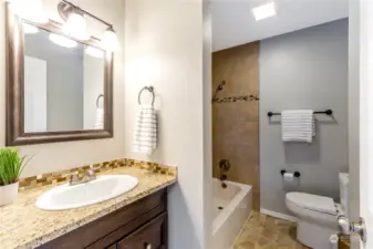 Lower level full bathroom