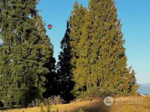 So much fun to watch the hot air balloons sail by!