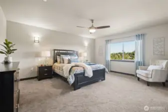 Massive Primary Suite, (5) with ceiling fan and those great territorial treed views in the distance.