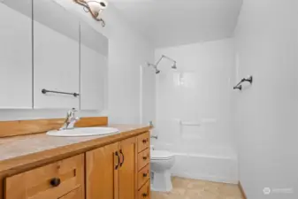 Full guest bathroom with shower/tub combo. Plenty of vanity storage plus medicine cabinet mirror. Did you notice the double shower head?