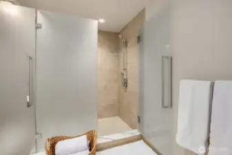 Elegant Walk-in Shower