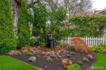 Water feature in the yard.
