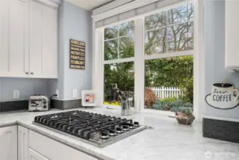 Viking 6 burner cooktop - enjoy cooking with a view of the water feature.