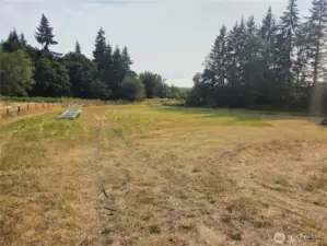 North Pasture