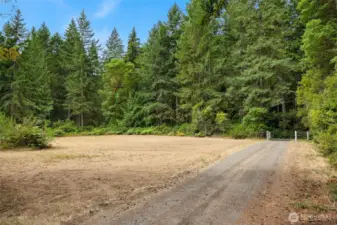 Long driveway leads you to the house set approximately 1,000 ft back from the hwy