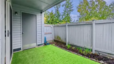 Back Yard