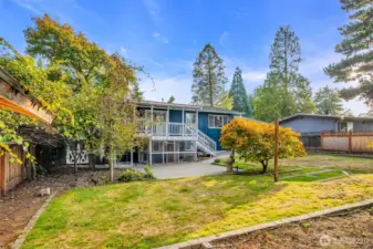A backyard for aspiring arborists or BBQ chefs.