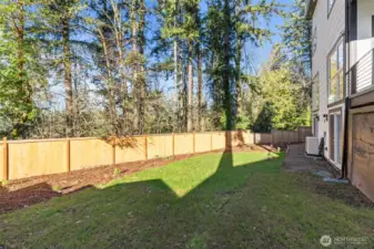 Spacious Backyard Fenced
