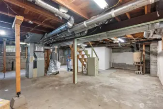 Unfinished Basement
