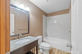 Lower Level - Master Bathroom