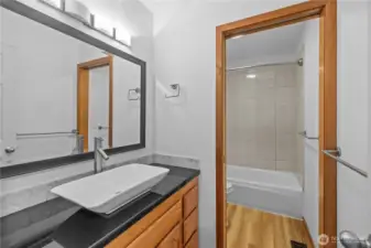 Lower Level - Full Bath