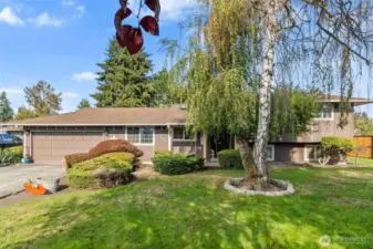 professionally landscaped