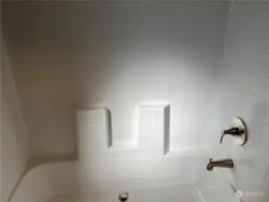 Main bath bathtub and shower.