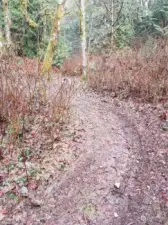 The path/roadway going up the other end of the property past the creek and cove.
