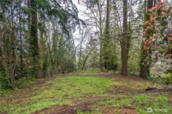 Large backyard for privacy