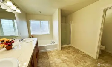Primary suite with elegant 5-pc! Frosted windows in bathroom, great for privacy & ventilation!