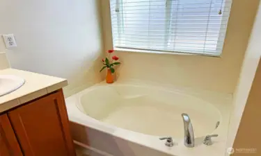 Oval soaking bathtub in Primary suite