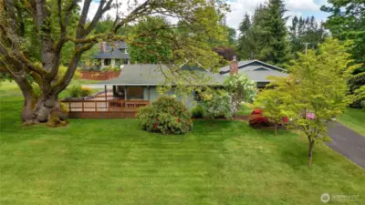 South Side of property