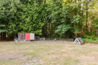 Chicken Coop worthy of your flock