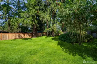 Backyard (south)  (virtually staged)