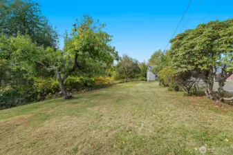 1/3 acre with fruit trees, cherry, apple and pear