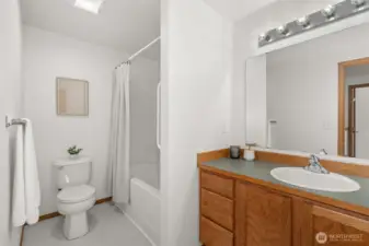 Main Bath upper level.