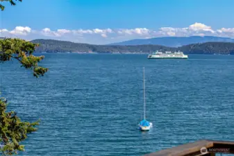 Views across Shoal Bay