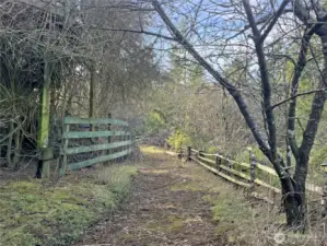 Driveway that may be enlarged to create a circular feature.