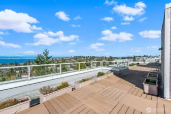 Roof top deck with grills, views for days, and garden beds.