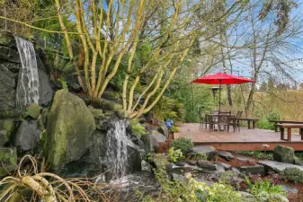The satellite deck is reached by crossing a small stream created by this impressive water feature.