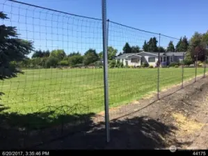 Sunny Sequim Day