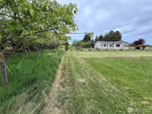 View North from Southern corner- Includes Fruite trees on left