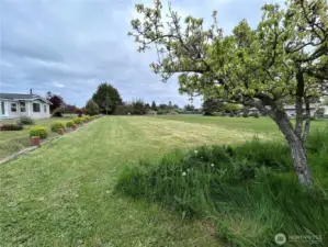 View to East from North West Corner of lot line -