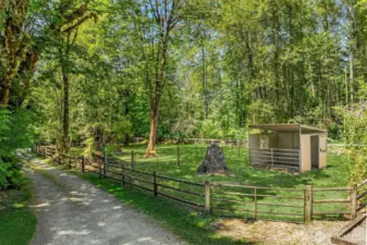 Pasture with loafing shed