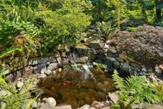 Water Feature