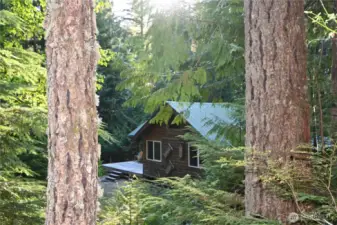 Nestled among the trees, your perfect cabin awaits. Turn-key!