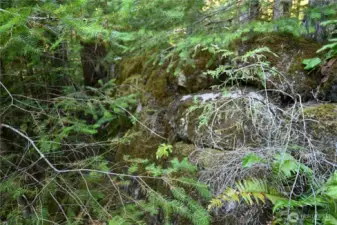 An extensive retaining wall lines the back perimeter & side of the property.