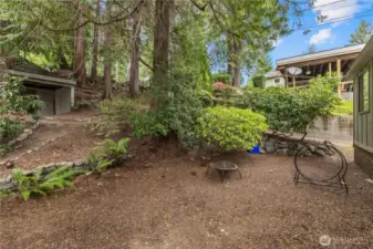 Front yard