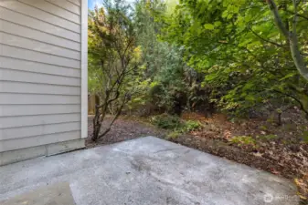When on your covered patio, this is the view of the backyard and treescape