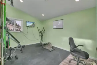 Inside the shed with power & lights.