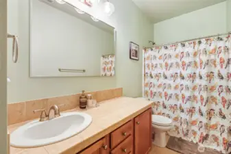 Guest Bathroom