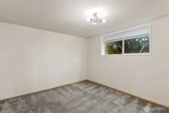 3rd lower level bedroom