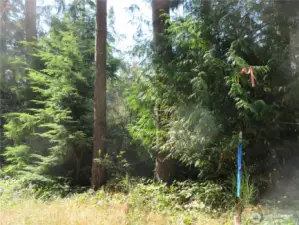 SE Marker shown on Holly Rd