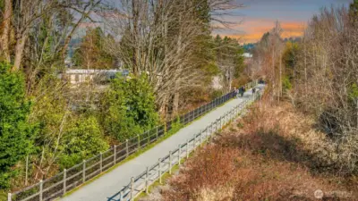 A scenic view of the Cross Kirkland Corridor — Kirkland's beloved premier walking and biking trail — just steps from the front door, winding through lush native trees and offering miles of car-free recreation right at your doorstep, perfectly embodying the active Pacific Northwest lifestyle.