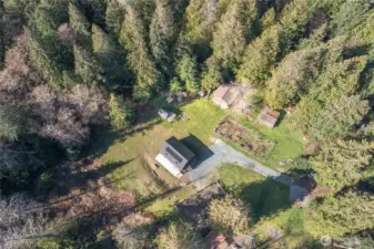 Aerial view of the sunlit, curated property set amongst surrounding old-growth cedar forest.
