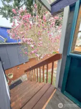 Downstairs to Beautiful and Large Backyard