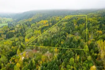 shy-20 private forested acres with amazing view potential