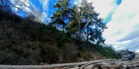 Looking up at bluff different angle